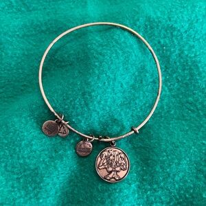 Disney Alex and Ani 2014 bracelet